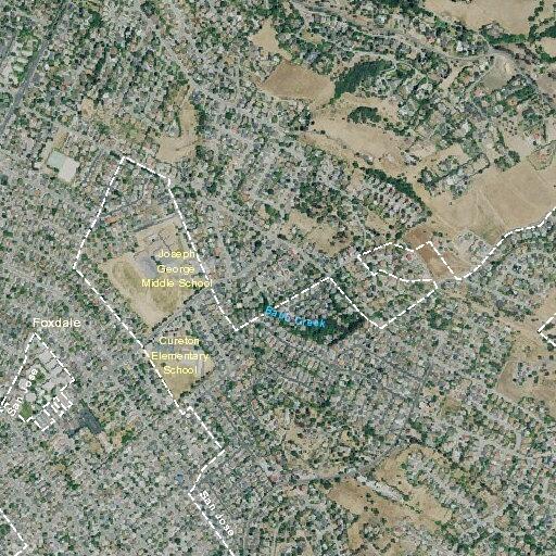Person having allergic reaction on Palomino Drive