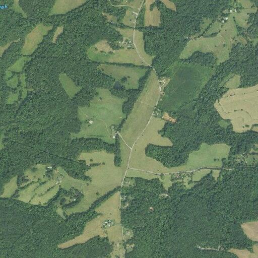Injured deer reported on Spring Grove Road