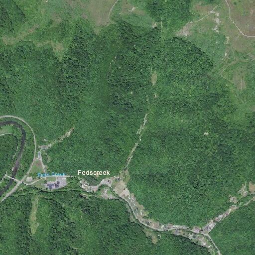 Teen bitten by dogs at Feds Creek Road