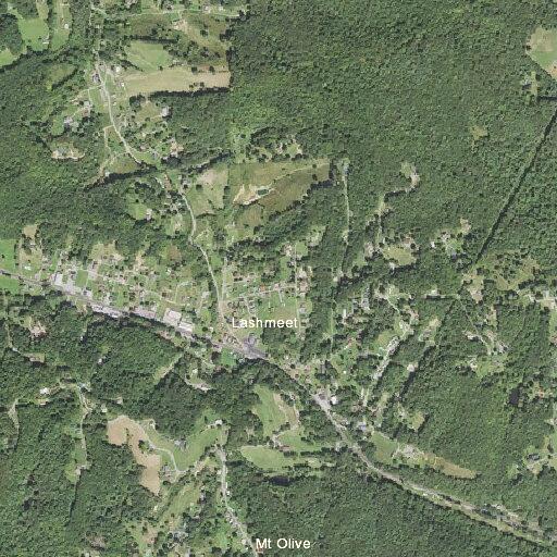 Couple reported fighting in park woods