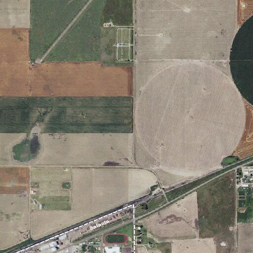 Cattle reported on Highway 56 near Satanta
