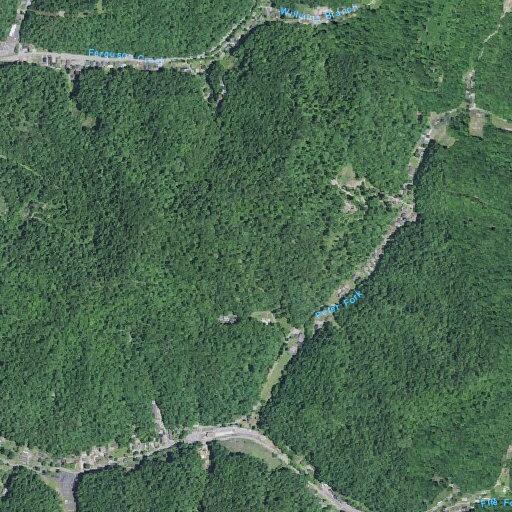 49-year-old man having chest pains at Chloe Creek Road