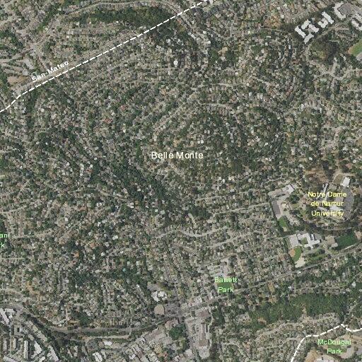 Female with upper gastrointestinal bleed in Belmont