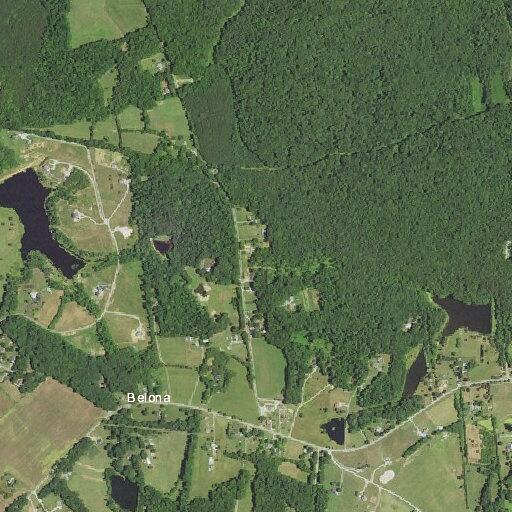 Animal bite reported near ridge road in powhatan