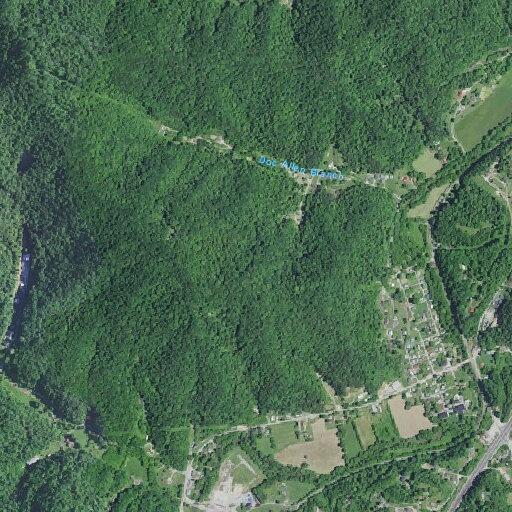 Female reported unresponsive on (number withheld) Turkey Creek Road
