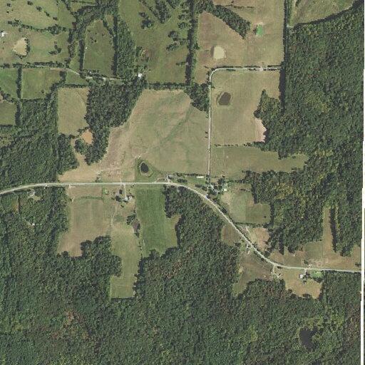 87-year-old man with breathing trouble in Ozark