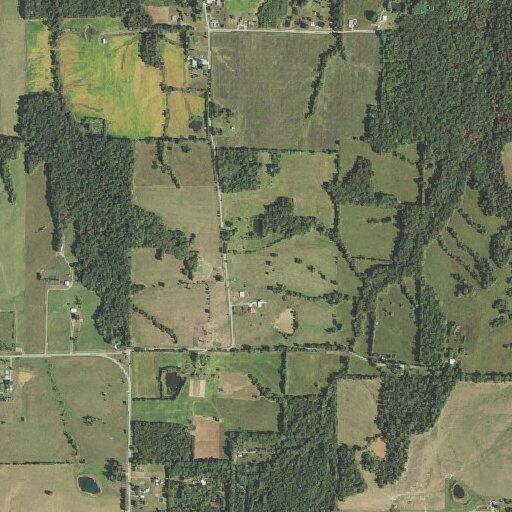 80-year-old female semi-conscious in Ozark