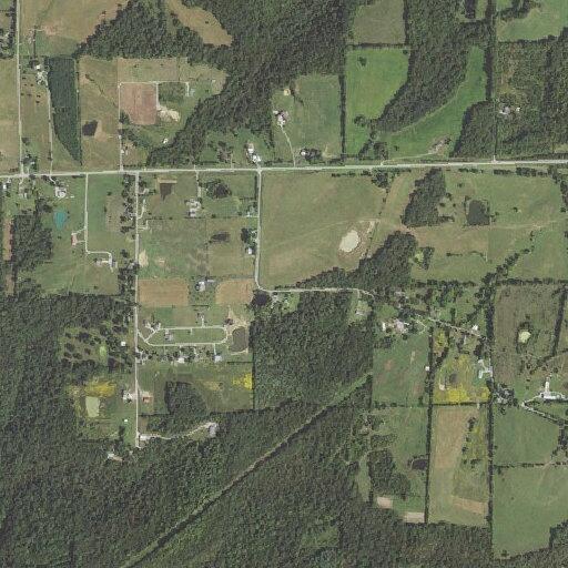 Teen female reported suicidal near Sullivan Road