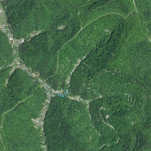 Family dispute reported on Kane Fork Road
