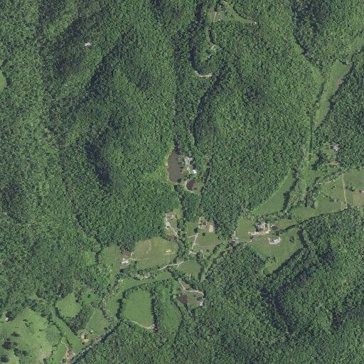 Elderly female vomiting and struggling to breathe