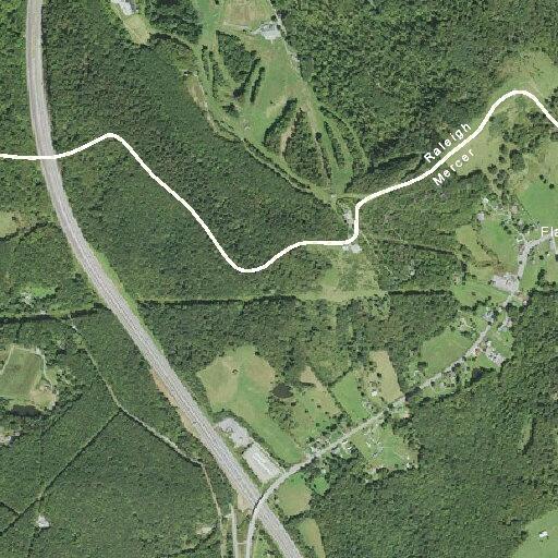 Car and deer collision causing road hazard