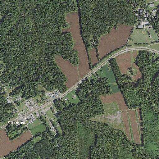 Female fell into ditch with leg pain and head injury