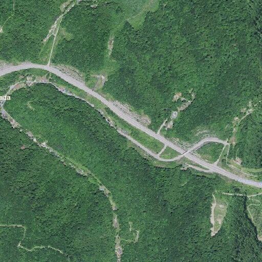 Traffic stop on Virginia vehicle near Pigeon Roost