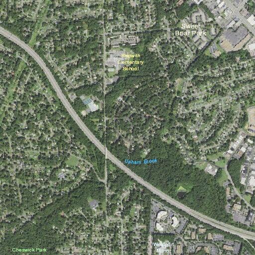 Person experiencing breathing difficulty at Forest Avenue