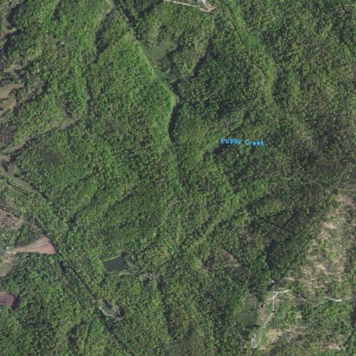 69-year-old male falls outdoors with abrasions
