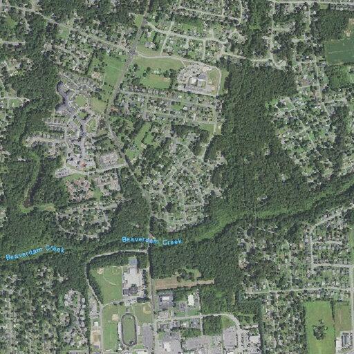 Transfer of alert 75-year-old male at Lee Davis Road