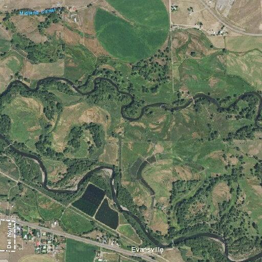 Loose cows reported on property along US Highway 160