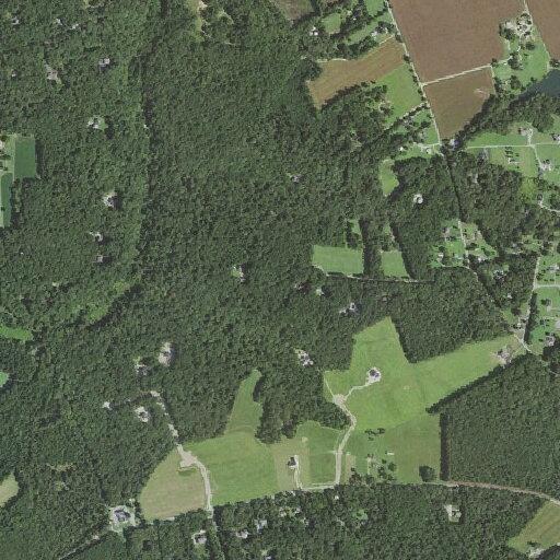 Young child vomiting and possibly dehydrated in Hanover
