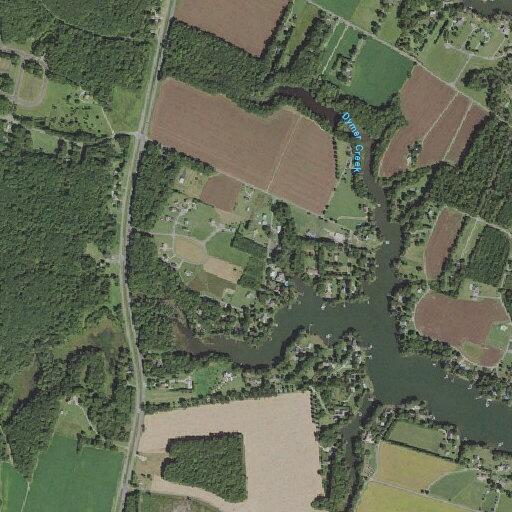 Elderly woman in extreme pain near Simmons Lane