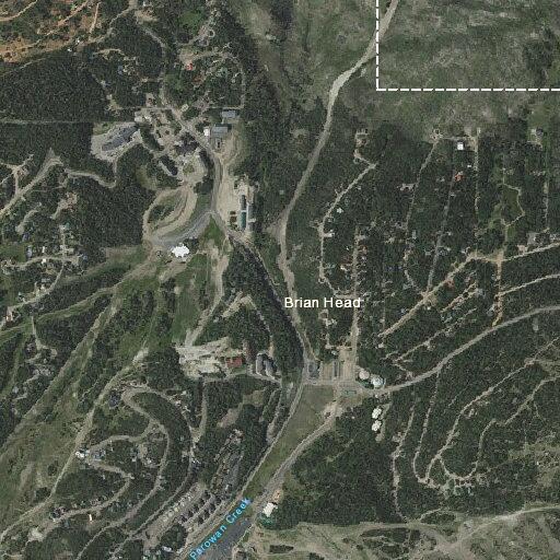 Tree blocks part of Ridgeview near Copper Chase