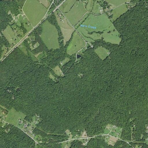 Person bitten by snake at James River Road