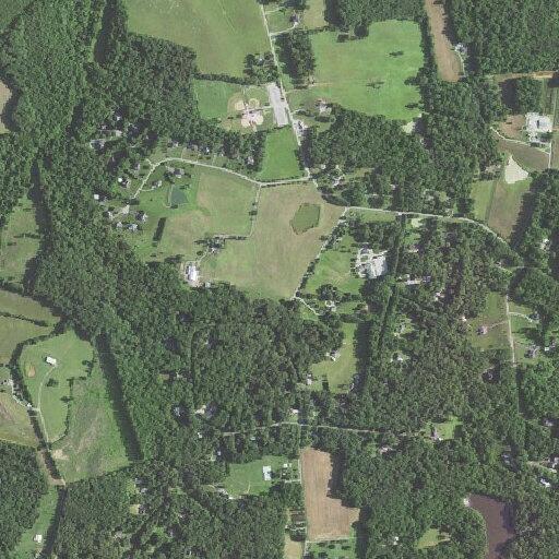 Woman possibly having stroke near Primrose Lane