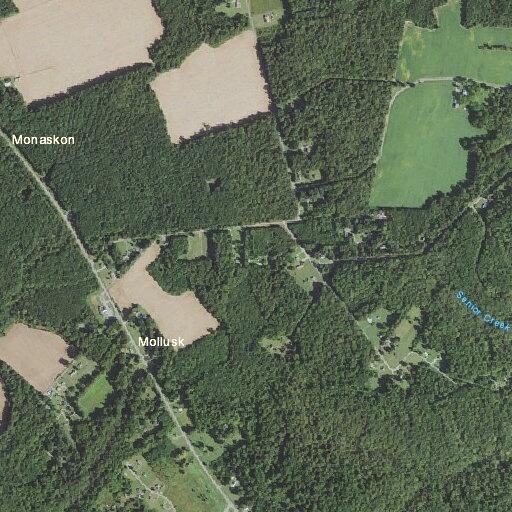 Elderly male with blocked catheter in Lancaster