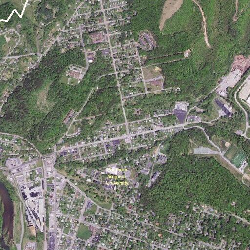 Person having allergic reaction near Buena Vista