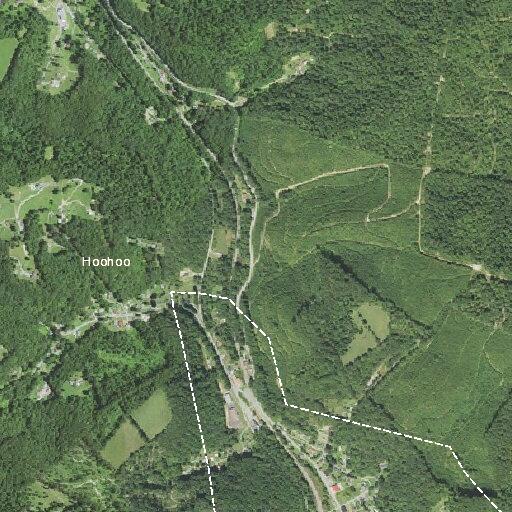 Loose pig reported near Webb Street in Lester