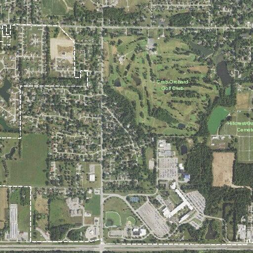 Shirtless man reported behind Hucks in Carterville