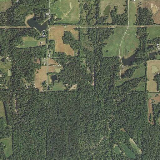 Deputy requests mental health evaluation at Meadowlark Rd