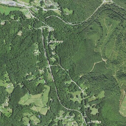 Woman fell and is confused on road near Griffith Hollow Rd