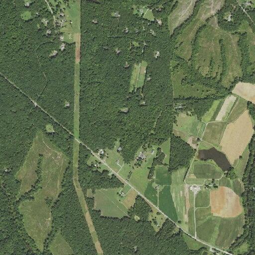 93-year-old woman injured after fall at Hickory Springs Lane