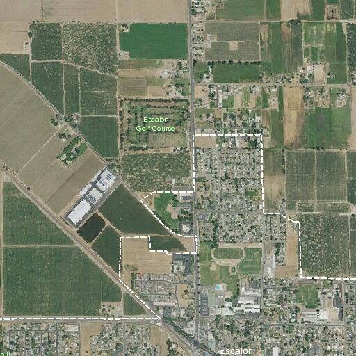 Person with altered consciousness near Escalon Avenue