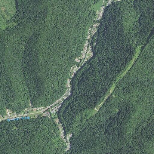 Man found confused and incoherent at Whitman Creek Rd