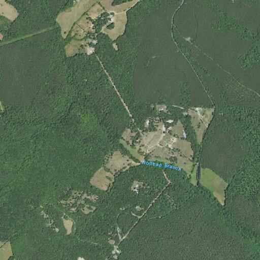 Person requiring advanced medical support at Chestnut Grove Rd