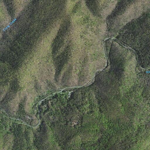 Woman with severe hip pain after fall near Irish Creek Road