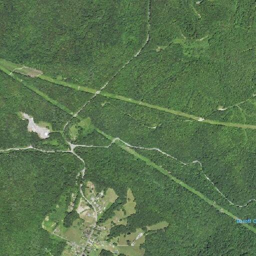 Man firing pellet rifle near Mill Creek Road