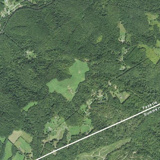 Tree on power line causes ground fire near poles