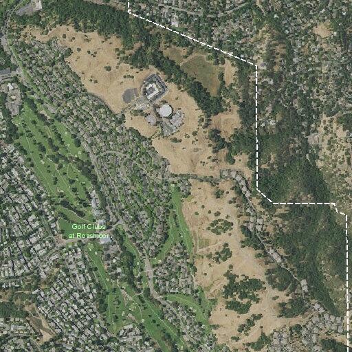 92-year-old man with intestinal pain in Walnut Creek