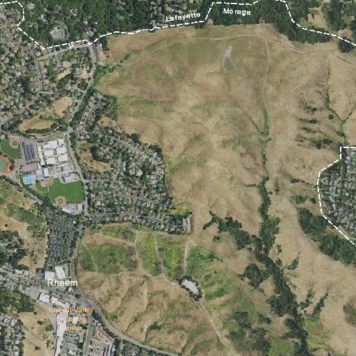 elderly woman fallen at moraga residence