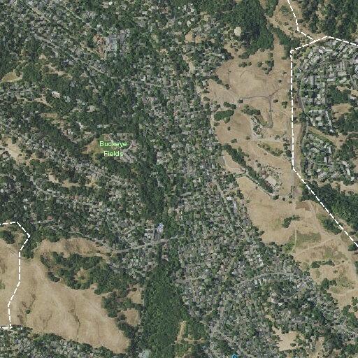 83-year-old man unconscious at Lucas Drive