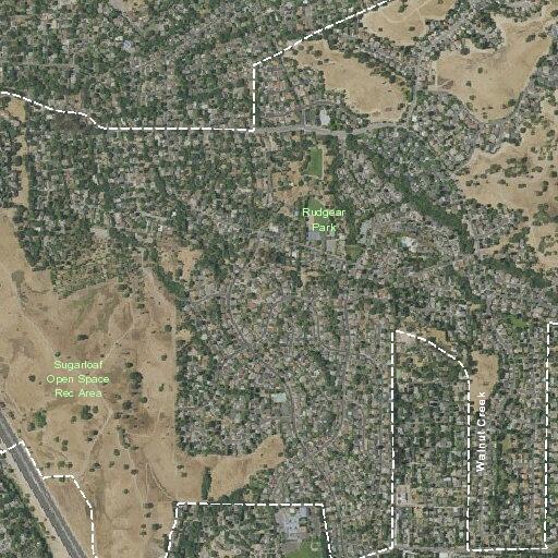 Alarm activation near Buttercup Court in Alamo