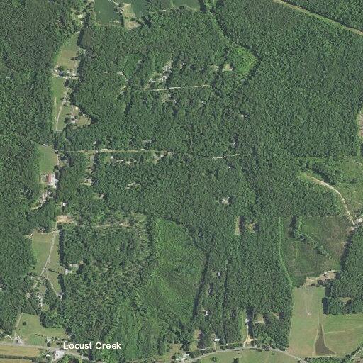 Person experiencing chest pain at Ivy Glen Lane