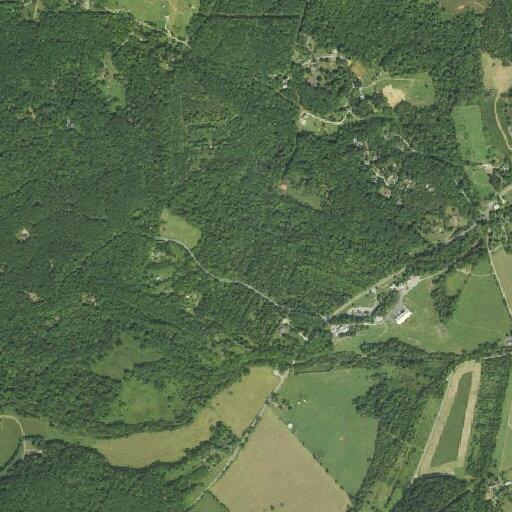 Person throwing tree debris toward trailhead