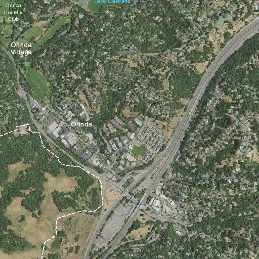 Person having seizure near Cork Tree in Orinda