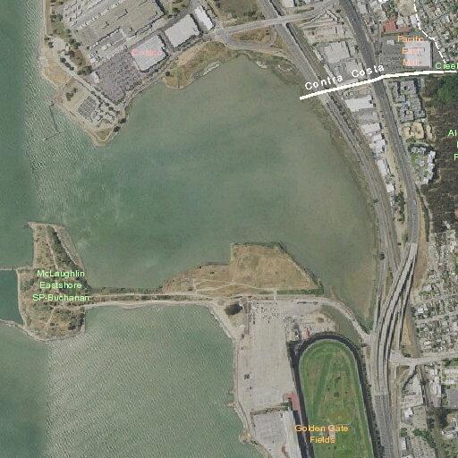 Illegally parked cars blocking Albany Beach turnaround