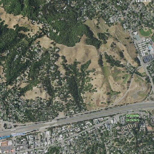 Elderly man experiences pain near Walnut Drive