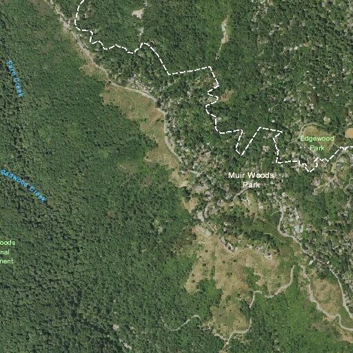 Search for missing teen on Panoramic Highway