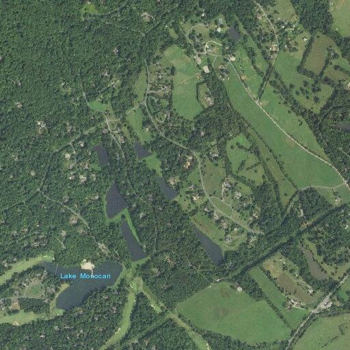 Family swimming in closed lake area